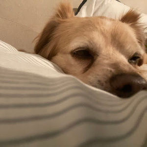 Meet your Posher, Jacob